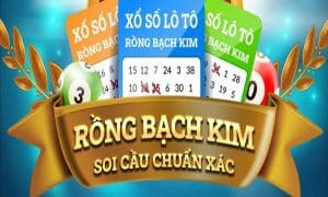 Soi Cầu 666 Rồng Bạch Kim: Cách Hiểu Ngôn Ngữ Của Số